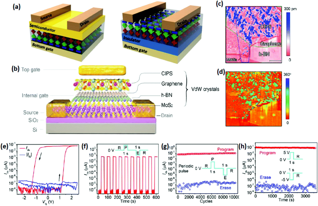 2D Ferroelectric In‑Sensor Computing Devices: The Future of Smart Sensing & AI Edge
How α‑In₂Se₃ and CIPS Are Powering Learning Sensors That Think Locally
Breakthrough in Tiny AI: 2D Ferroelectric Devices That Sense, Store & Compute
From Pavlovian Circuits to Edge Robots: 2D Ferroelectrics Redefine In‑Sensor Intelligence
Why 2D Ferroelectric Memory‑Sensors Will Replace Traditional AI Hardware