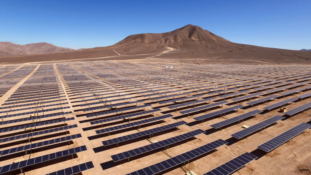 Waaree Energies Q2 Results: Net Profit Soars Over 200%, Revenue Jumps 70%